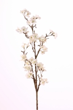 Appelbloesem groot 104cm creme 